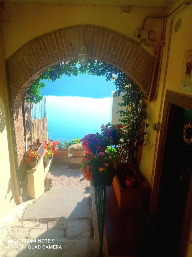 Suite Lake View