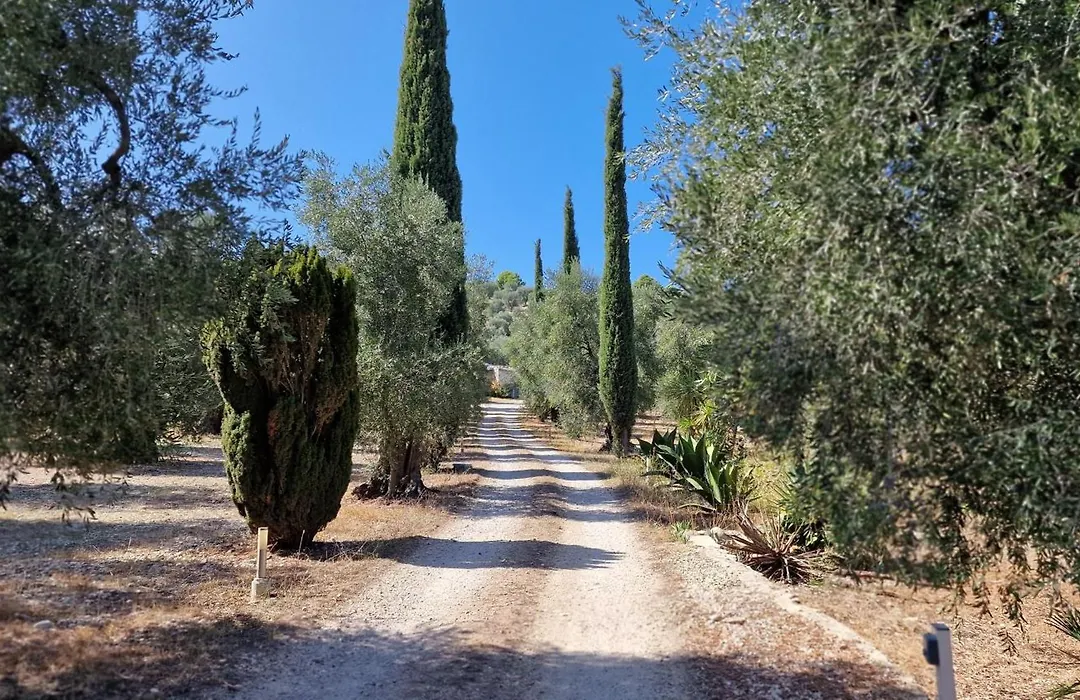 Le Fronde Vieste-1