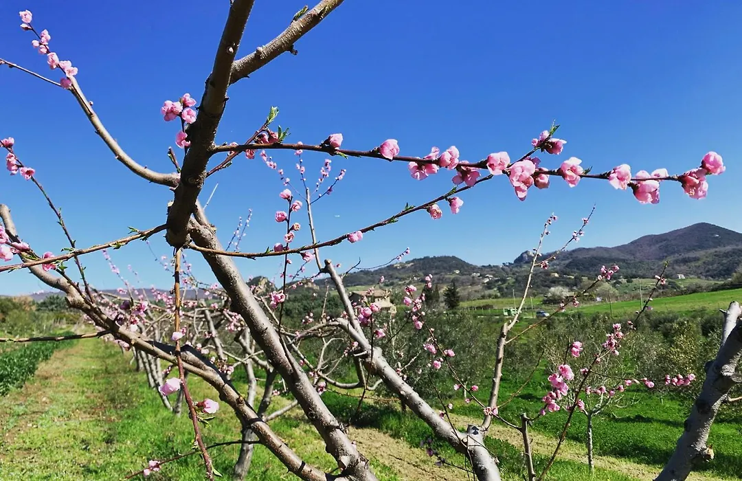 Agriturismo Casale Sasso-1