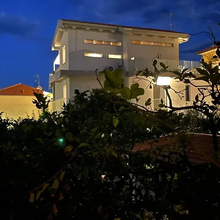 Albero della vita-3