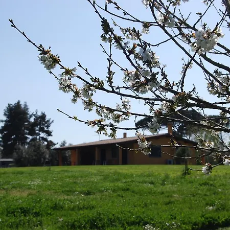 Vigna Di Valle-3