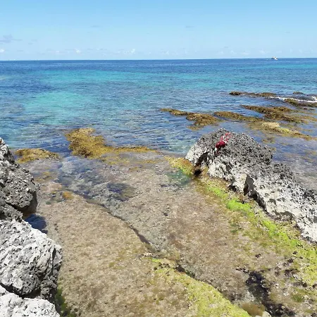 Casa Isola-2
