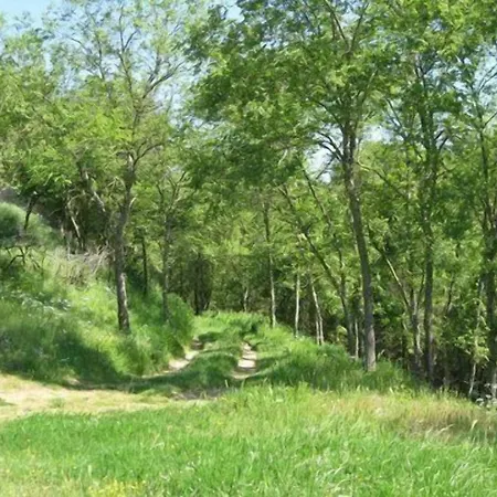 Torricella-2