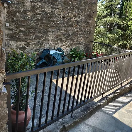 Fattoria di Cintoia-2