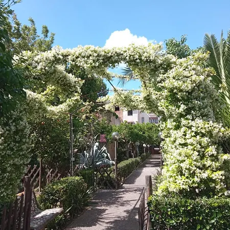 Il Giardino degli Agrumi-2