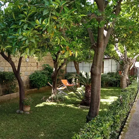 Il Giardino degli Agrumi-3