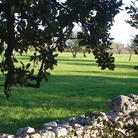 Agriturismo Beethoven-3