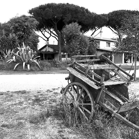Vigna Di Valle-2