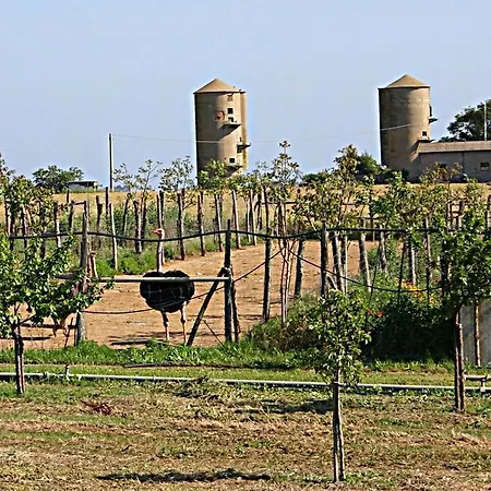 B&B Corte degli Struzzi-3
