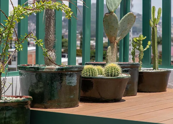 Rooftop Hot Tub! 3 levels, 5Bedroom in Villa Noria