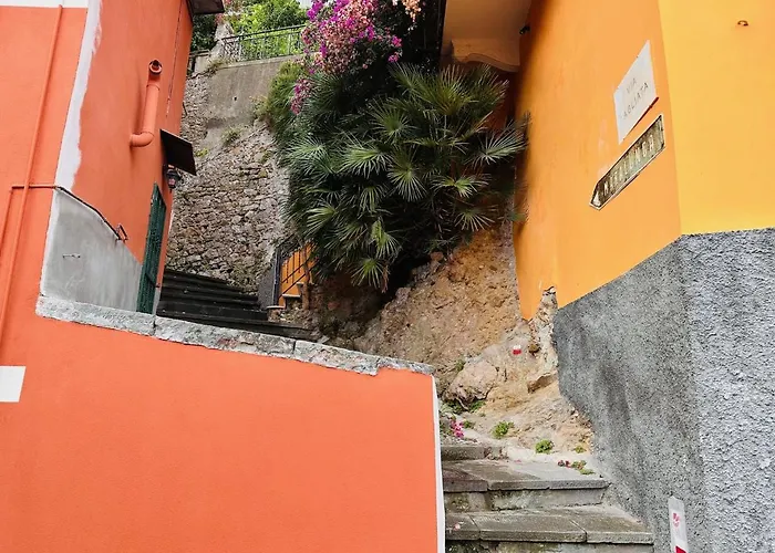 Hotel adatto agli animali: Casa Leone