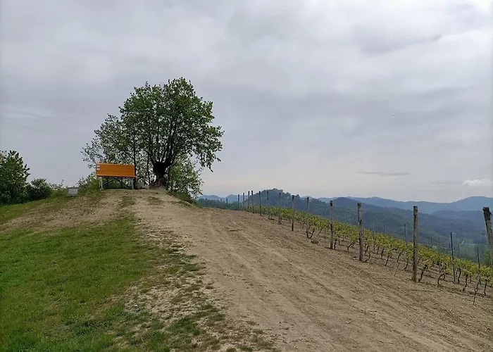Monferrato Bed&Bike