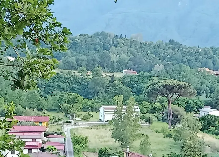 Affittacamere La Foresta di Sopra