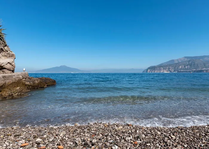 Hotel adatto agli animali: Hotel Desiree