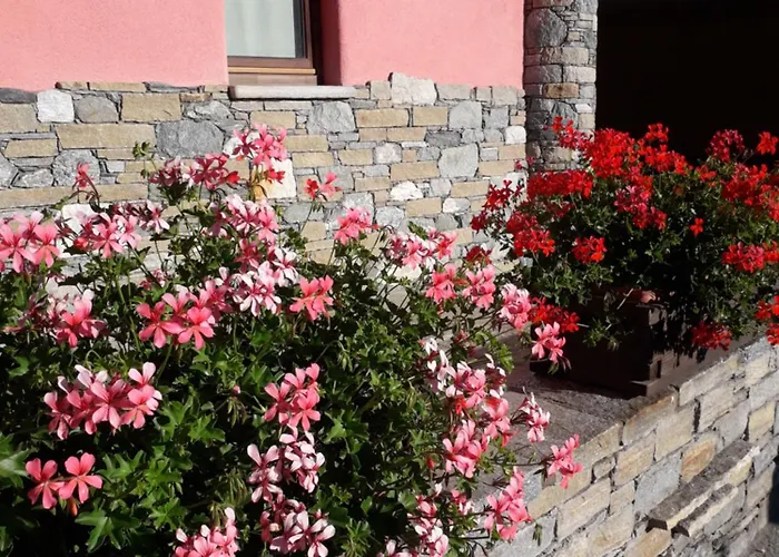Affittacamere La Magia Dei Colori