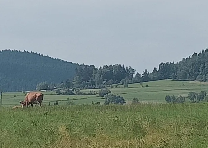 Dom W Beskidzie Wyspowym