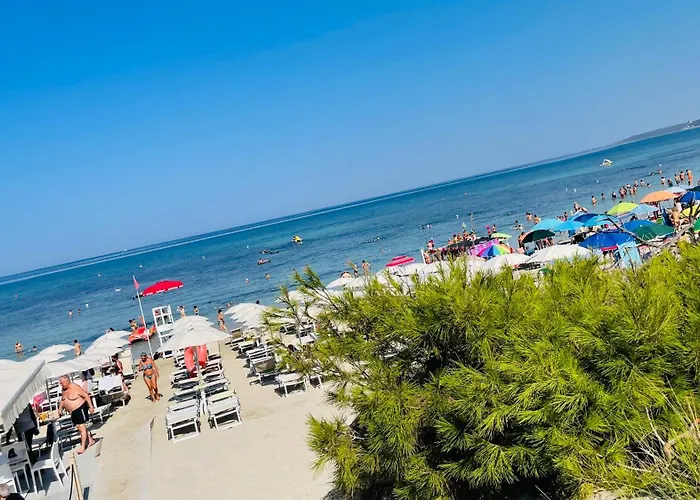 Casamare