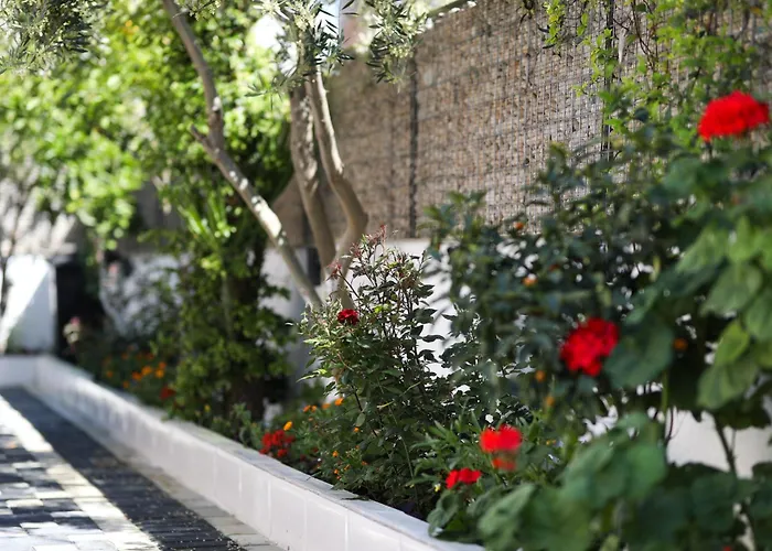Vila Feliz - Premium Rooms With Free Private Parking
