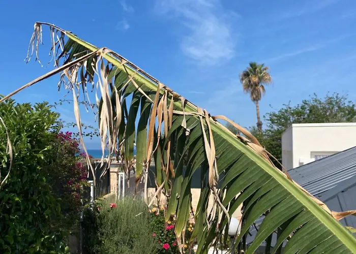 Villa Alicudi - con piscina privata a pochi passi dal mare