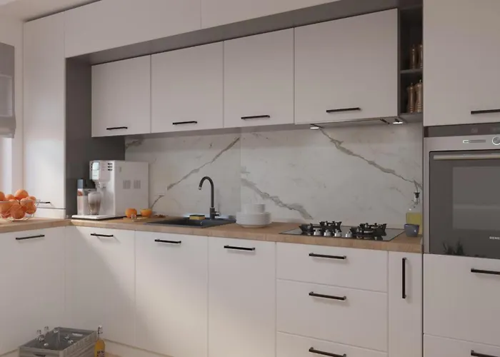 Sasa S Home Vila Moderna Cu Parcare Privata In Timisoara
