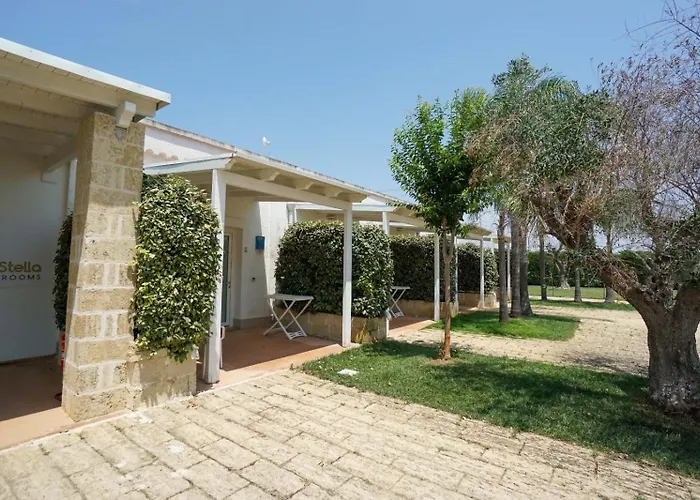 L'Ulivo e la Stella