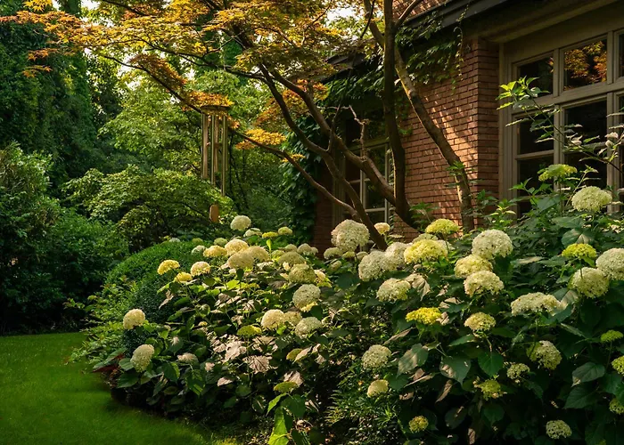 Wisteria Holiday Home