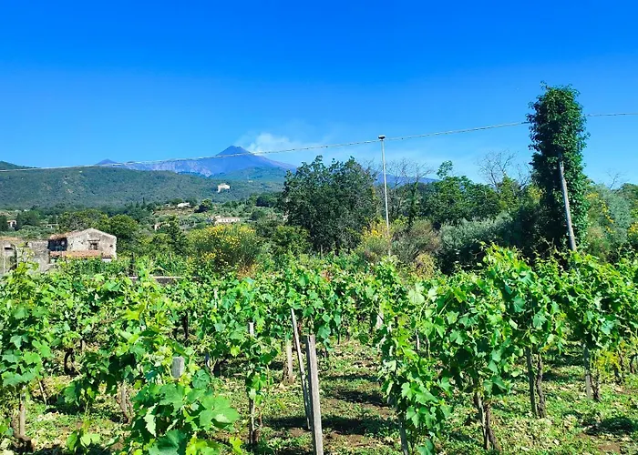Tenuta Arcidiacono - Etna, Wine, Country&Relax