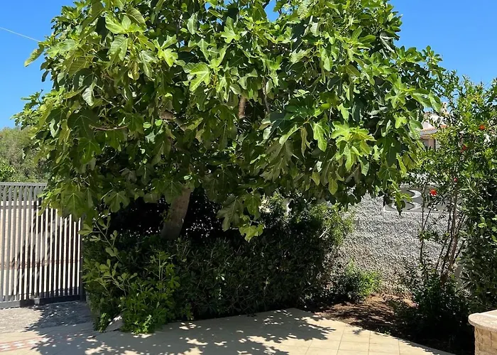 Villa sul mare con parcheggio privato - BuganVilla