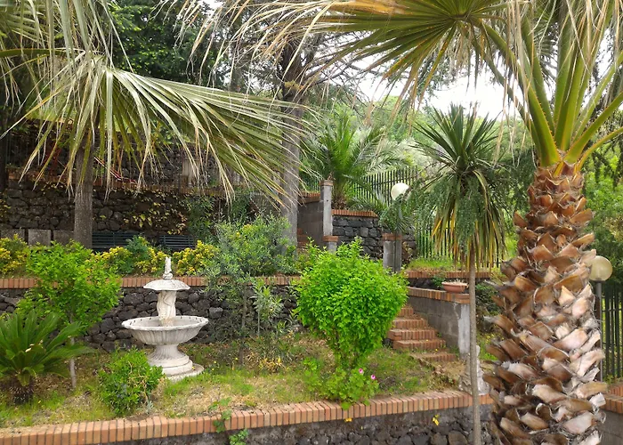 Hotel familiare: Hotel Primavera Dell'Etna