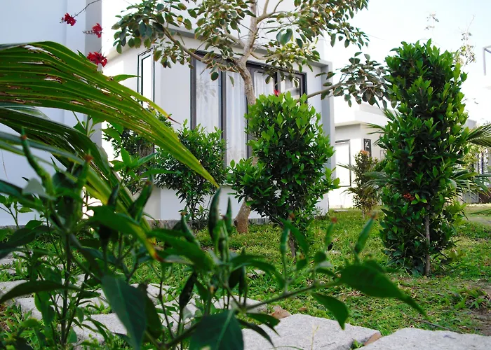 Van Nguyen Minihouse