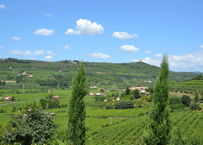 Corte Tamellini
