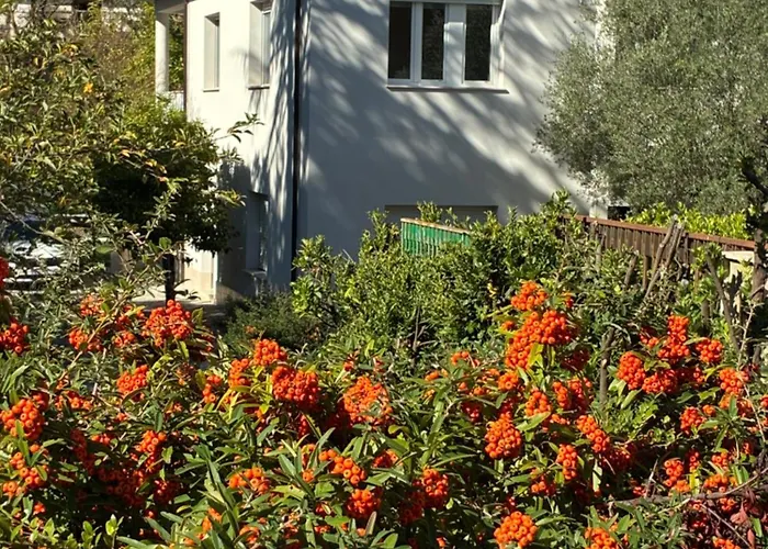Il giardino di Silvia