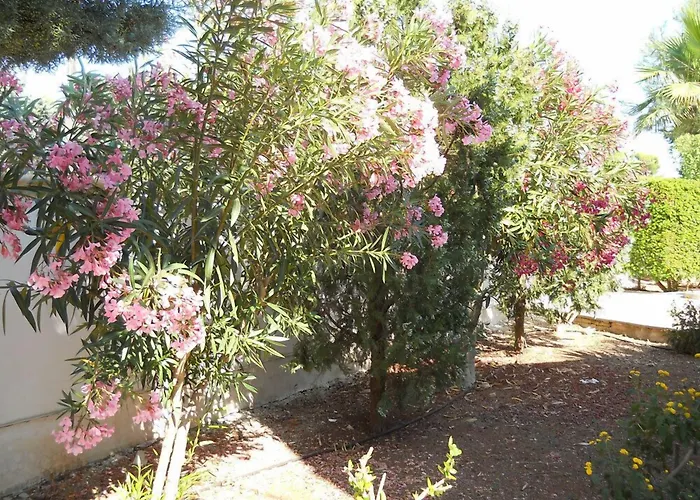 B&B La Strea