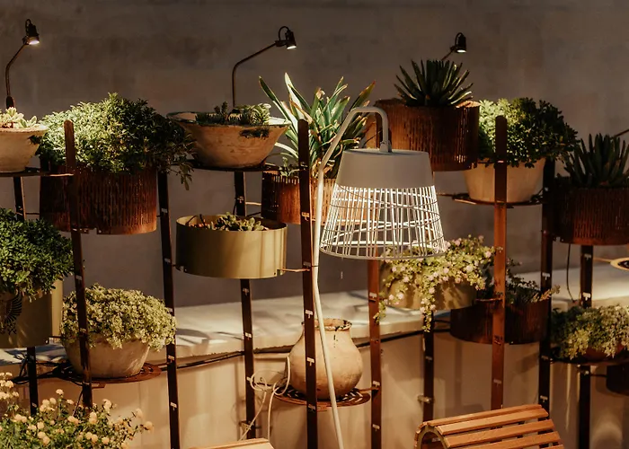  Pollicastro Boutique