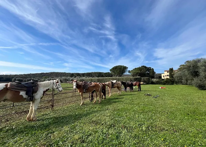 Valle D'Oro