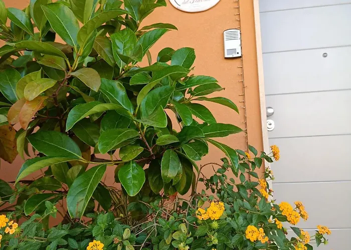 La Rosa del Salento