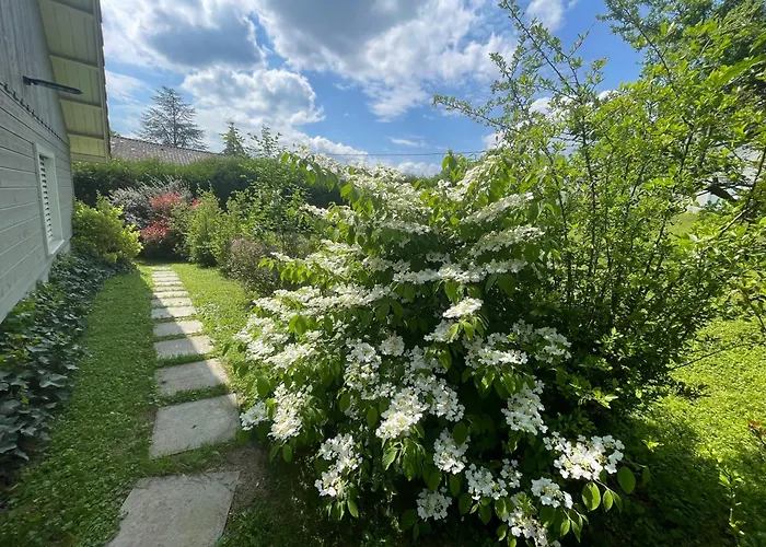 Tulipes Et Cetera