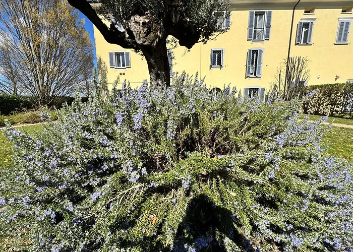 Santa Caterina 1604 Suites