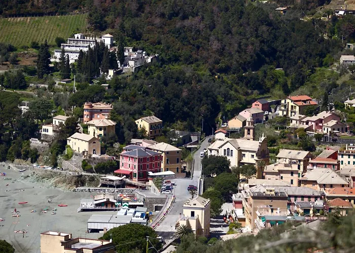 Hotel Feluca