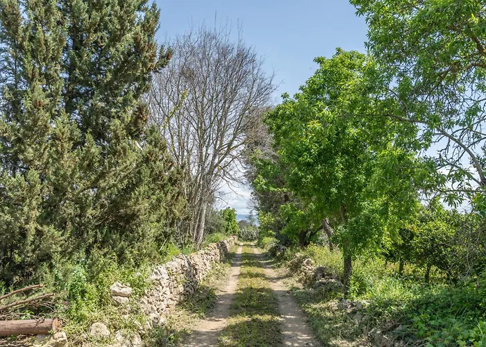 Tenuta Santo Spirito