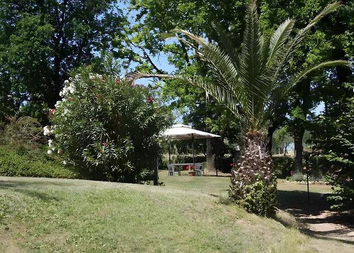 Villetta Immersa Tra Olivi