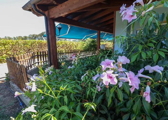 Mabell Guest House