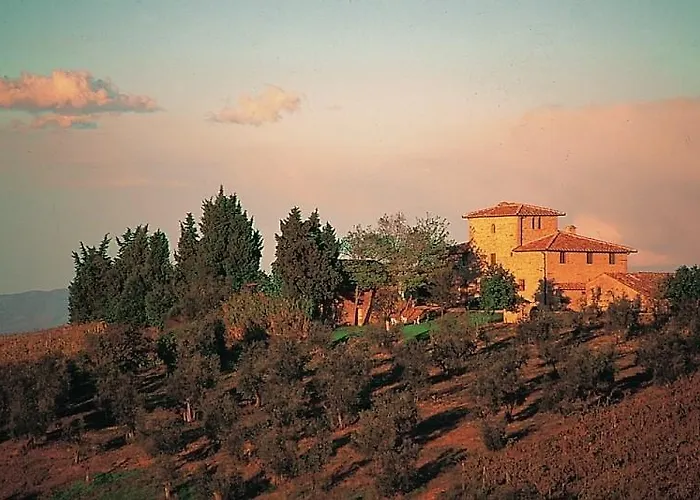 Archipettoli