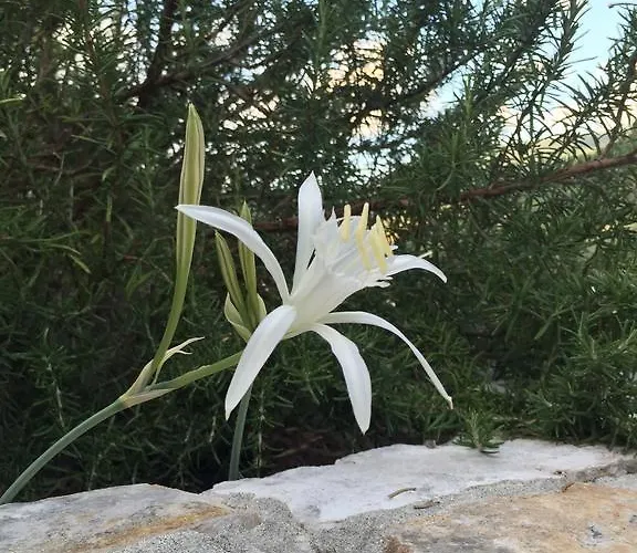 Ca' di Bianca