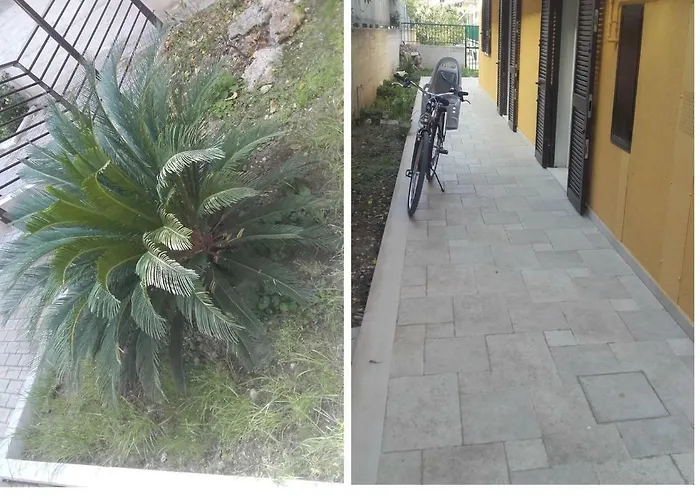 House La Palma