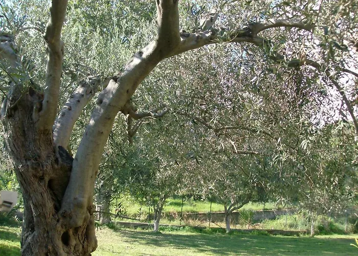 Il Melicucco