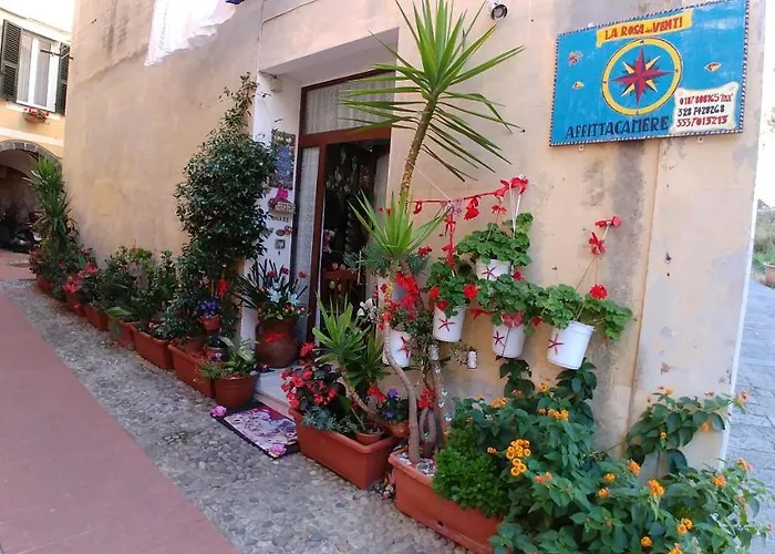 Rosa Dei Venti